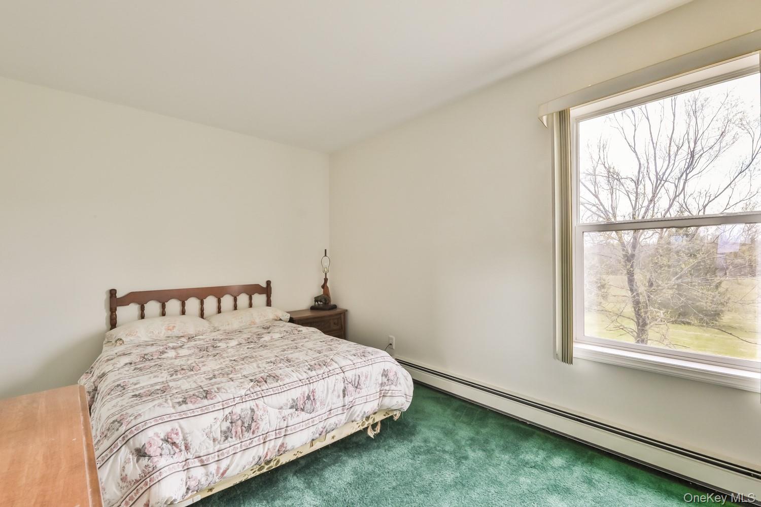 Single Family Case  Greene County, NY 12407, MLS-995243-19