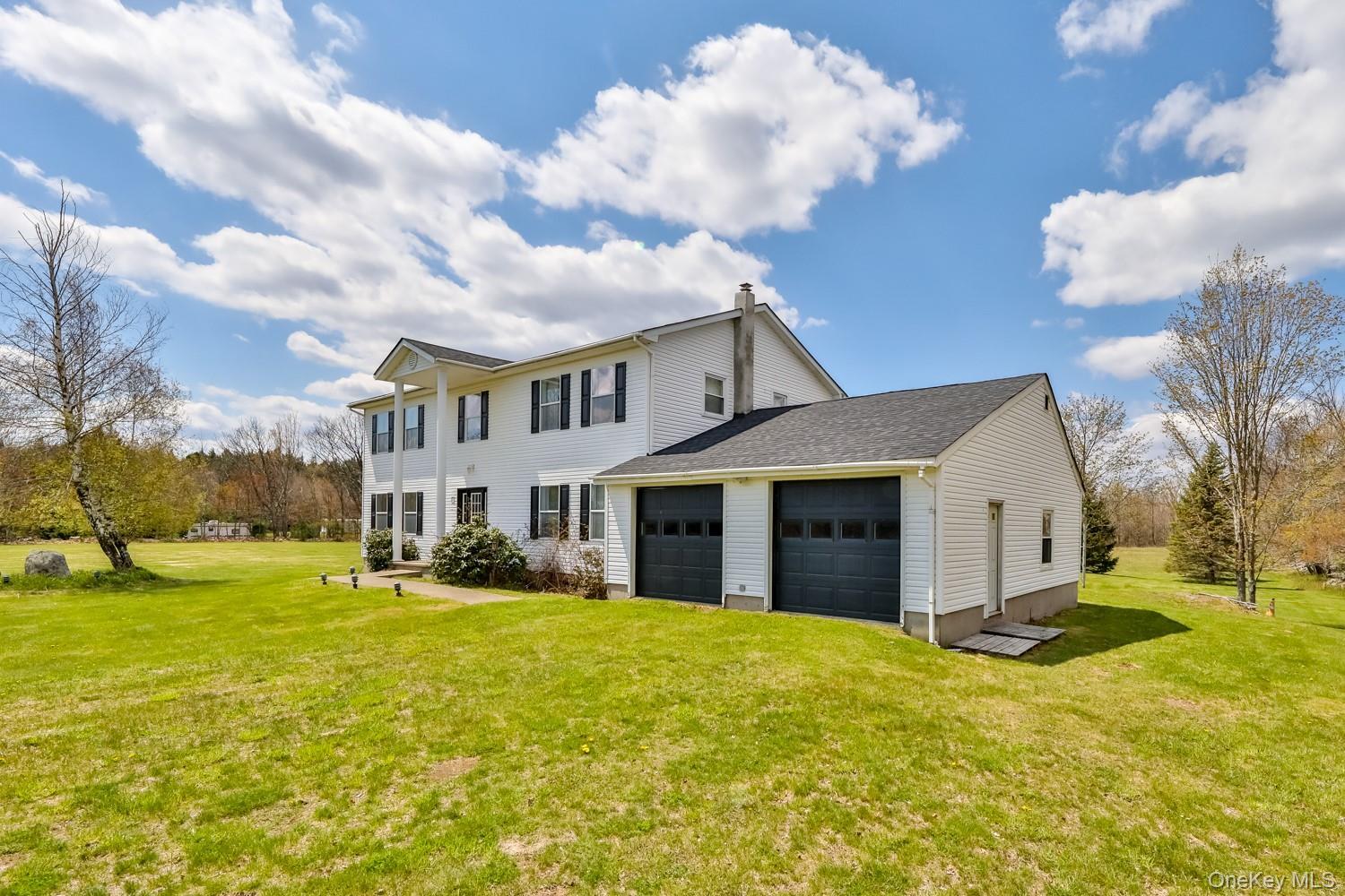 Single Family Case  Greene County, NY 12407, MLS-995243-2
