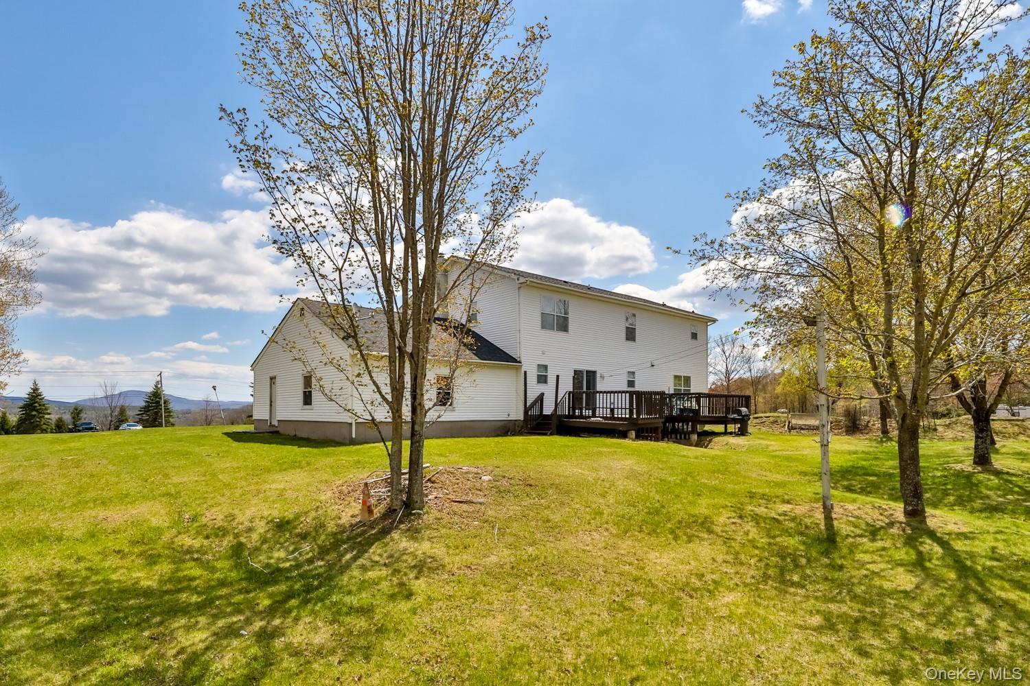 Single Family Case  Greene County, NY 12407, MLS-995243-27