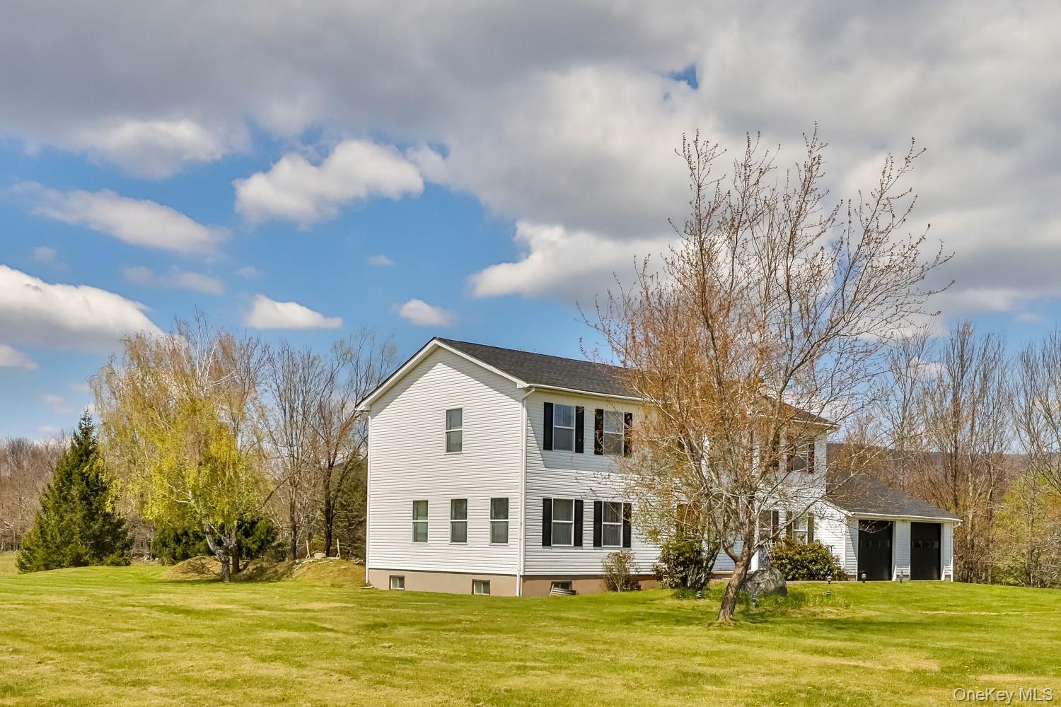 Single Family Case  Greene County, NY 12407, MLS-995243-3