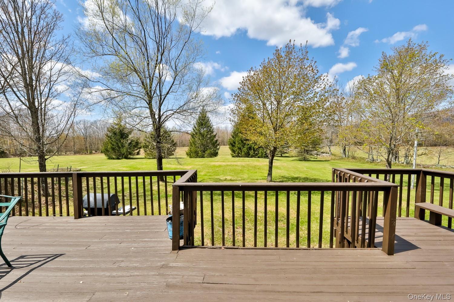 Single Family Case  Greene County, NY 12407, MLS-995243-30