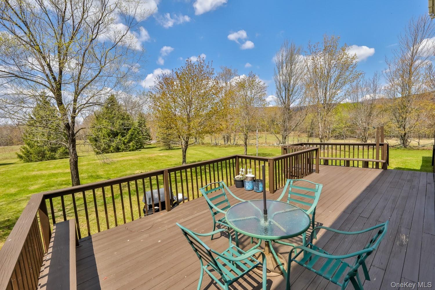 Single Family Case  Greene County, NY 12407, MLS-995243-31