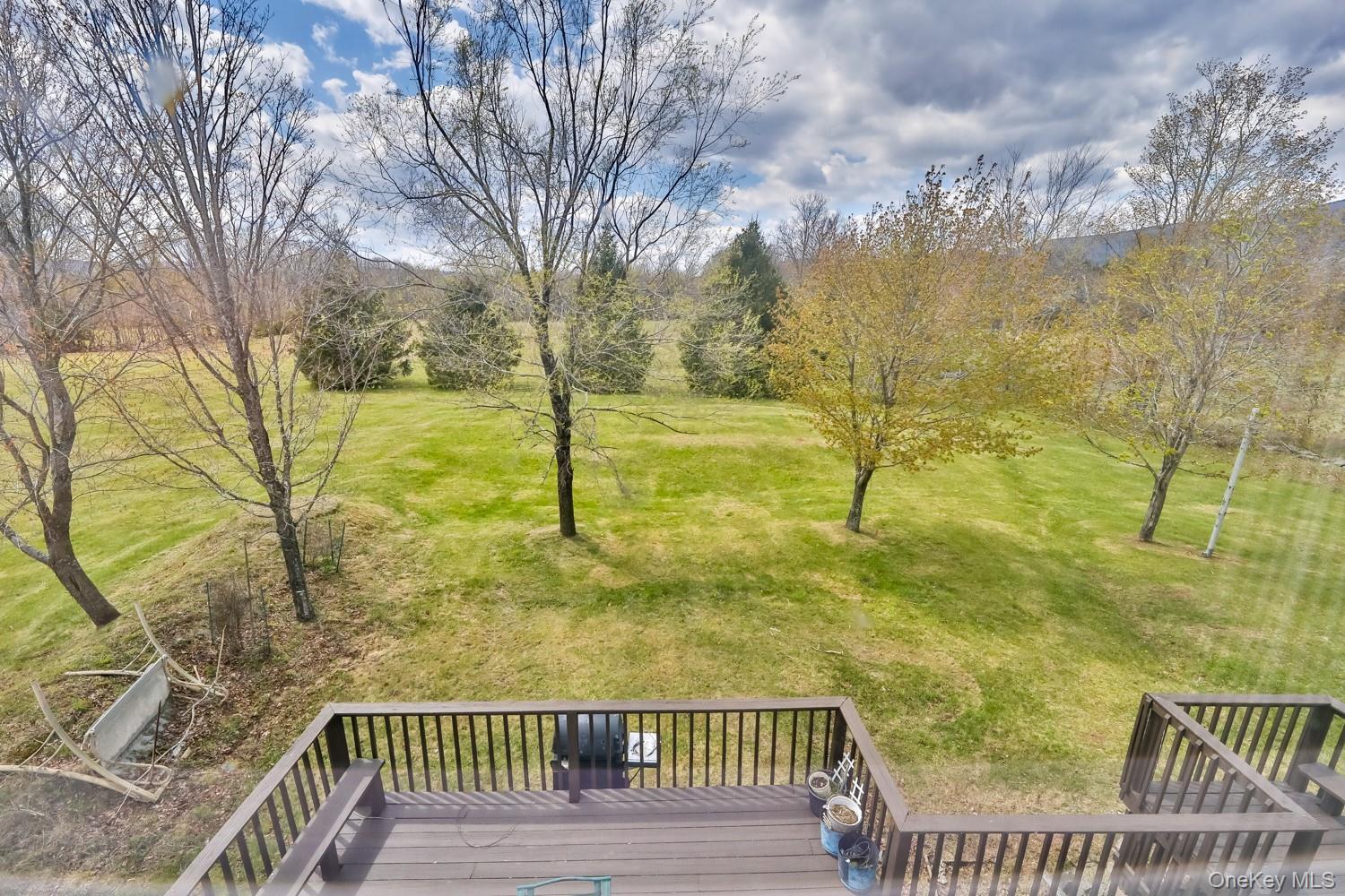 Single Family Case  Greene County, NY 12407, MLS-995243-32