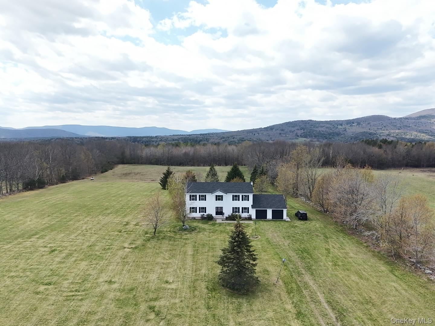 Single Family Case  Greene County, NY 12407, MLS-995243-33