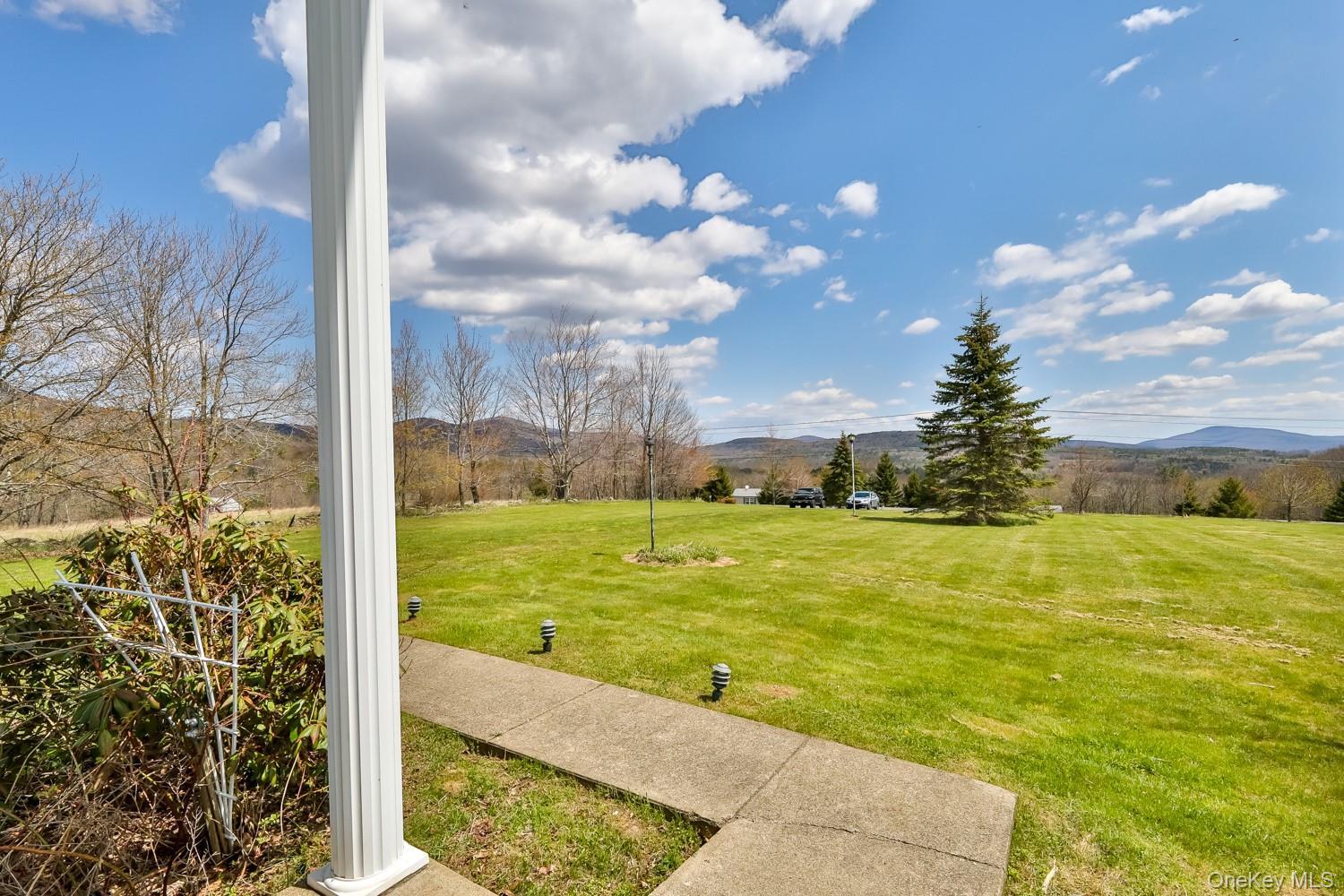 Single Family Case  Greene County, NY 12407, MLS-995243-4