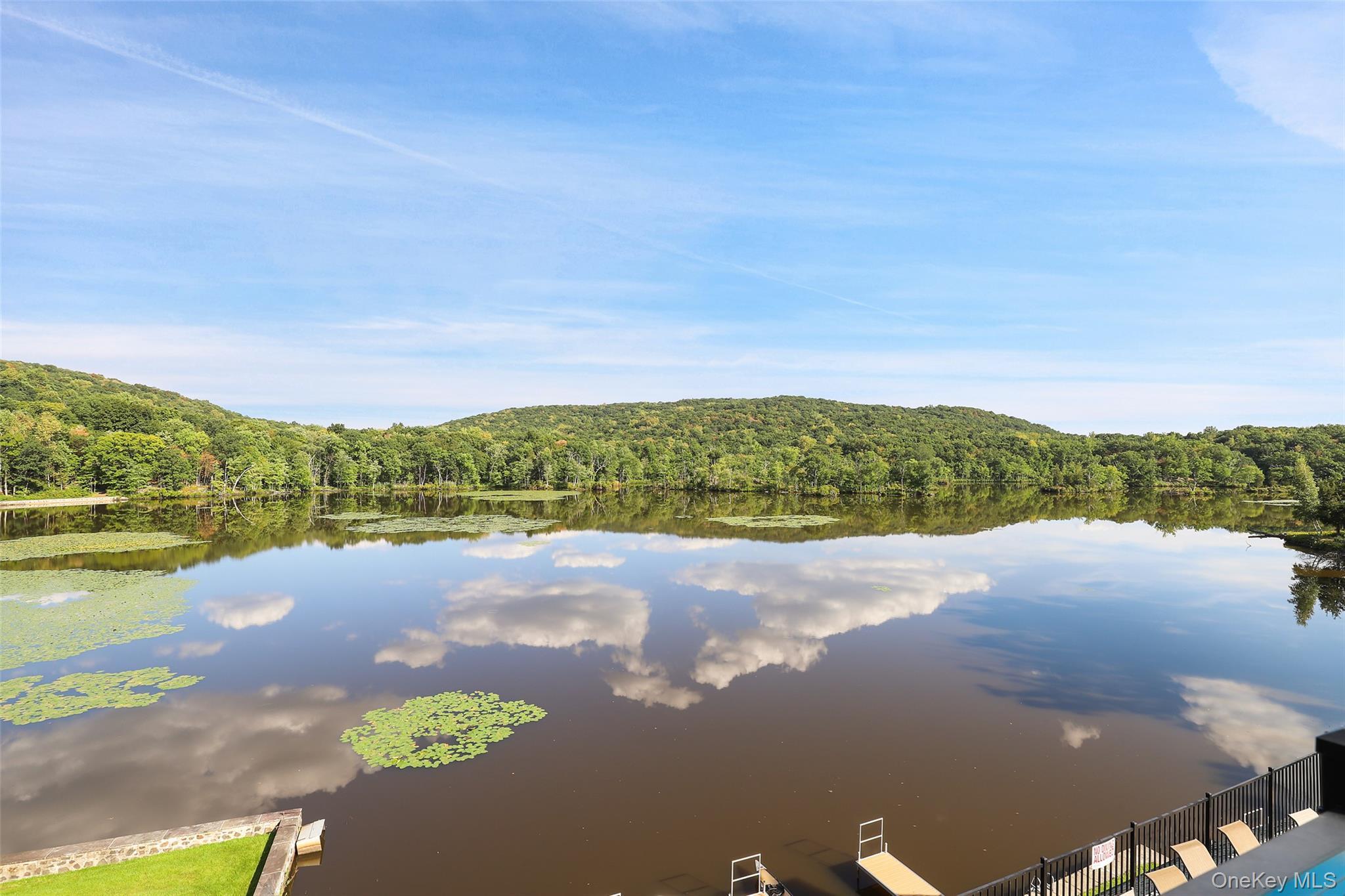 Single Family Deforest Drive Westchester County, NY 10567, MLS-995249-38