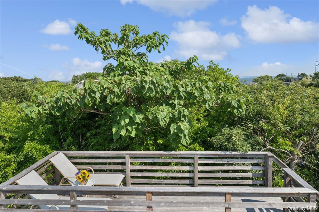 Single Family Sky Walk  Suffolk County, NY 11782, MLS-995314-36