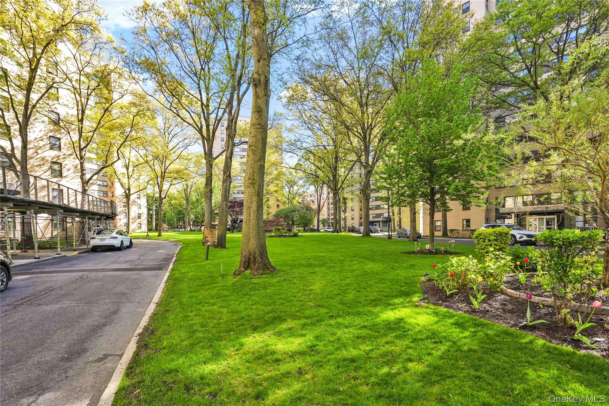 Coop Fordham Hill  Bronx, NY 10468, MLS-995386-2