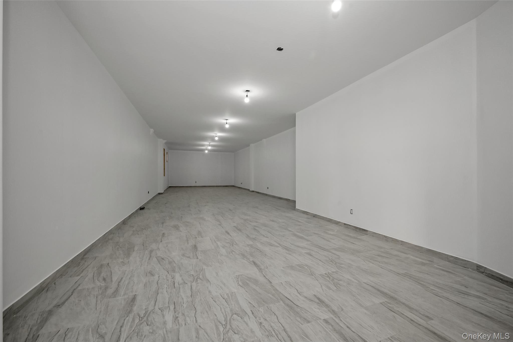 Commercial Lease Glenmore Avenue  Brooklyn, NY 11208, MLS-995416-3