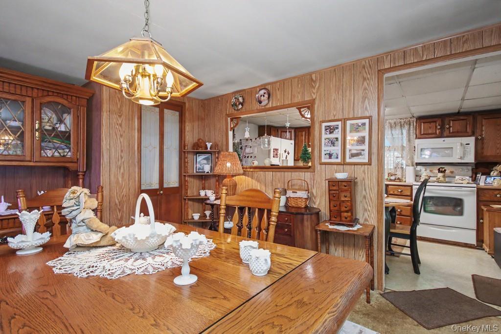 Single Family Irish Cape Ulster County, NY 12458, MLS-995615-22