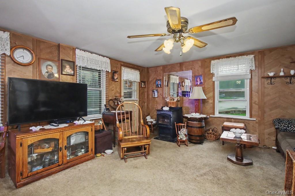 Single Family Irish Cape Ulster County, NY 12458, MLS-995615-24
