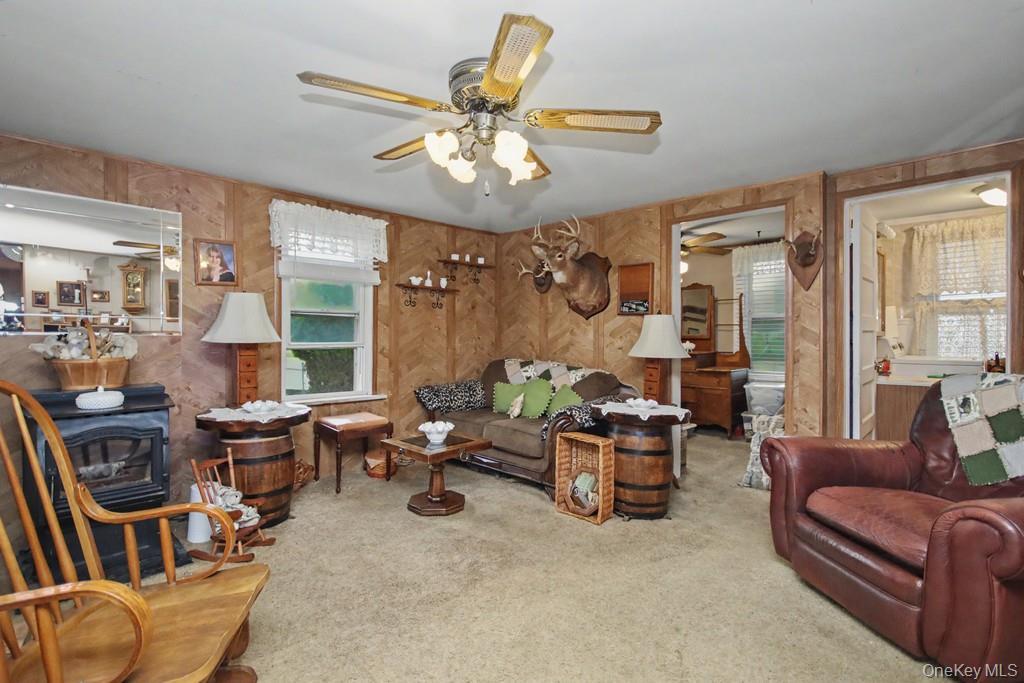 Single Family Irish Cape Ulster County, NY 12458, MLS-995615-25
