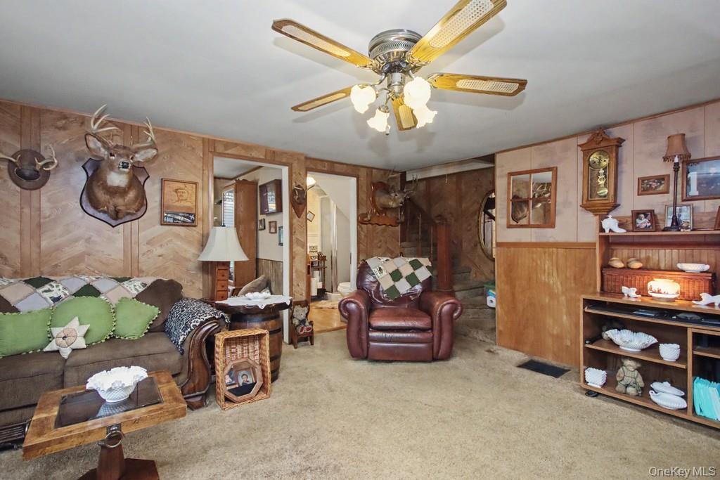 Single Family Irish Cape Ulster County, NY 12458, MLS-995615-26