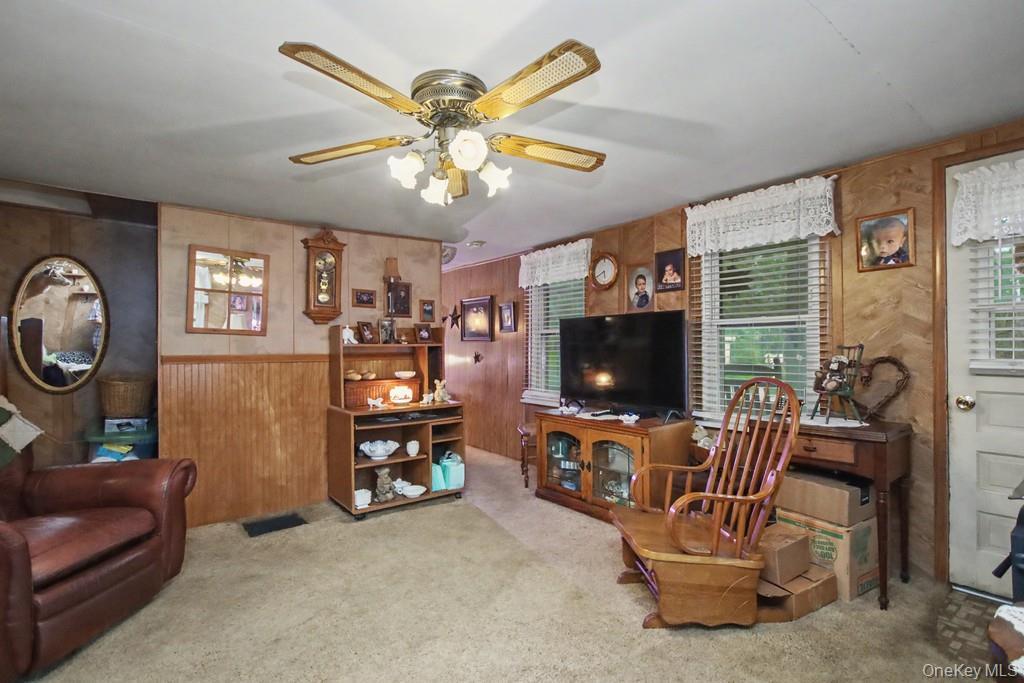 Single Family Irish Cape Ulster County, NY 12458, MLS-995615-27