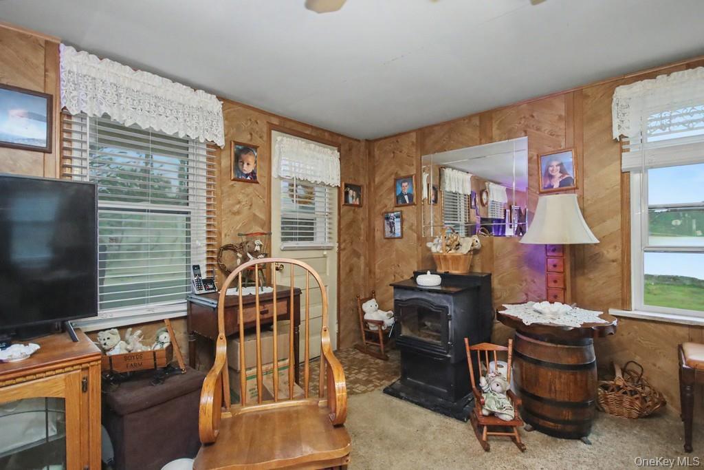 Single Family Irish Cape Ulster County, NY 12458, MLS-995615-28