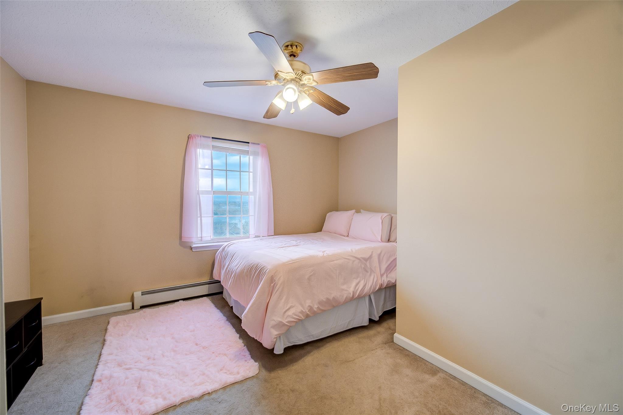 Single Family Nancy Lane  Orange County, NY 10918, MLS-995624-21