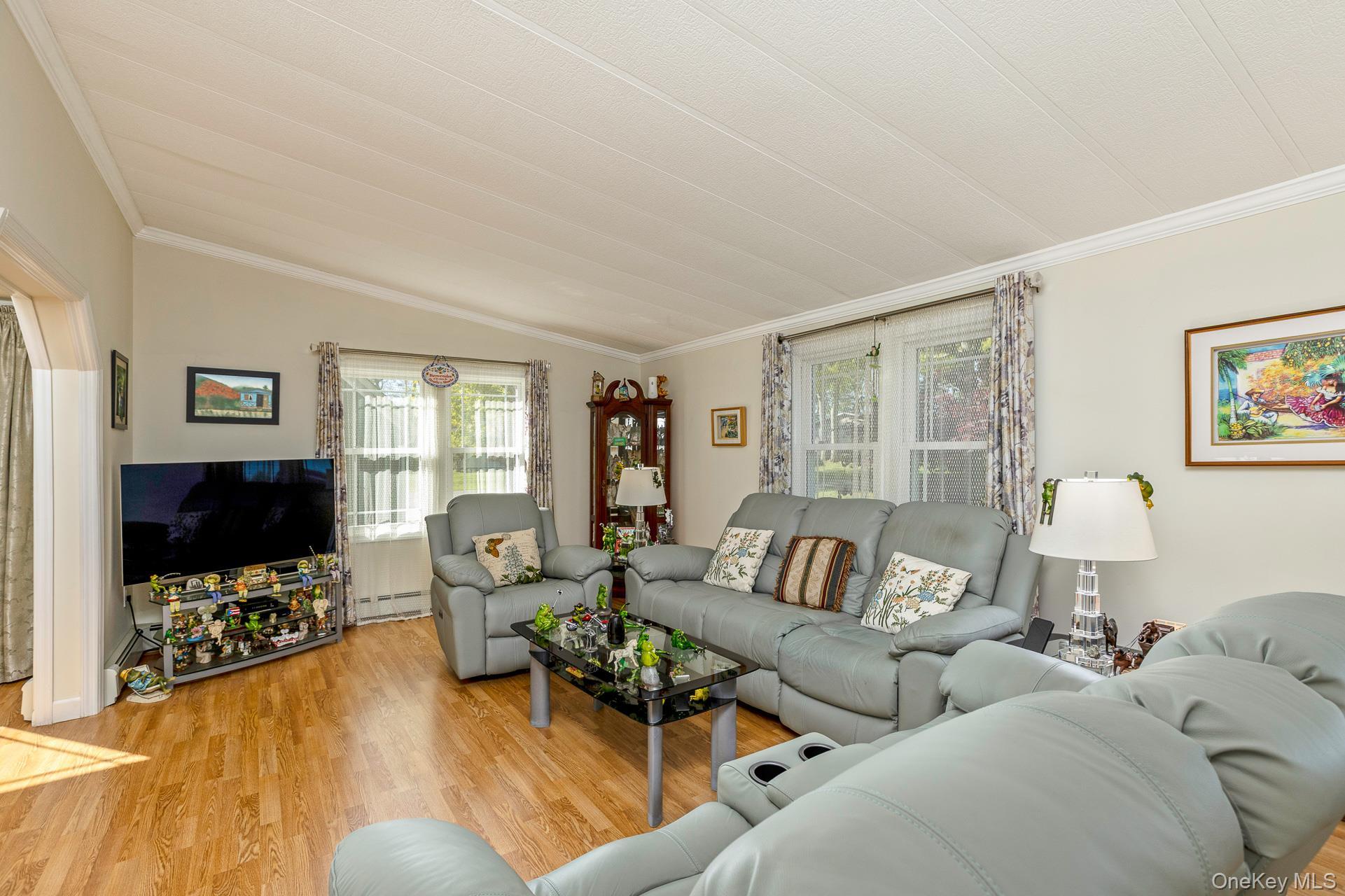 Single Family Middle Road Suffolk County, NY 11933, MLS-995626-7