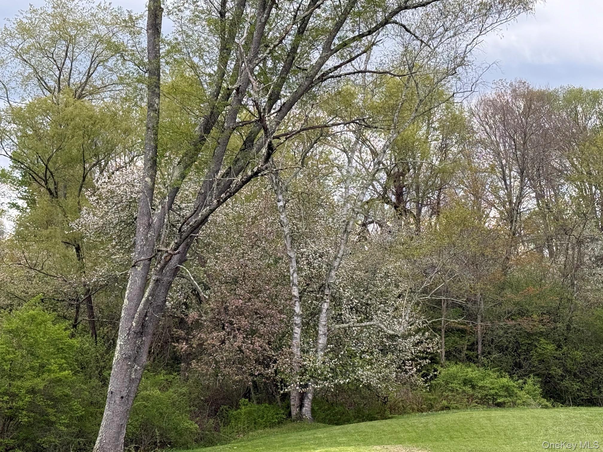 Single Family Perrys Corners Road Dutchess County, NY 12501, MLS-995667-15