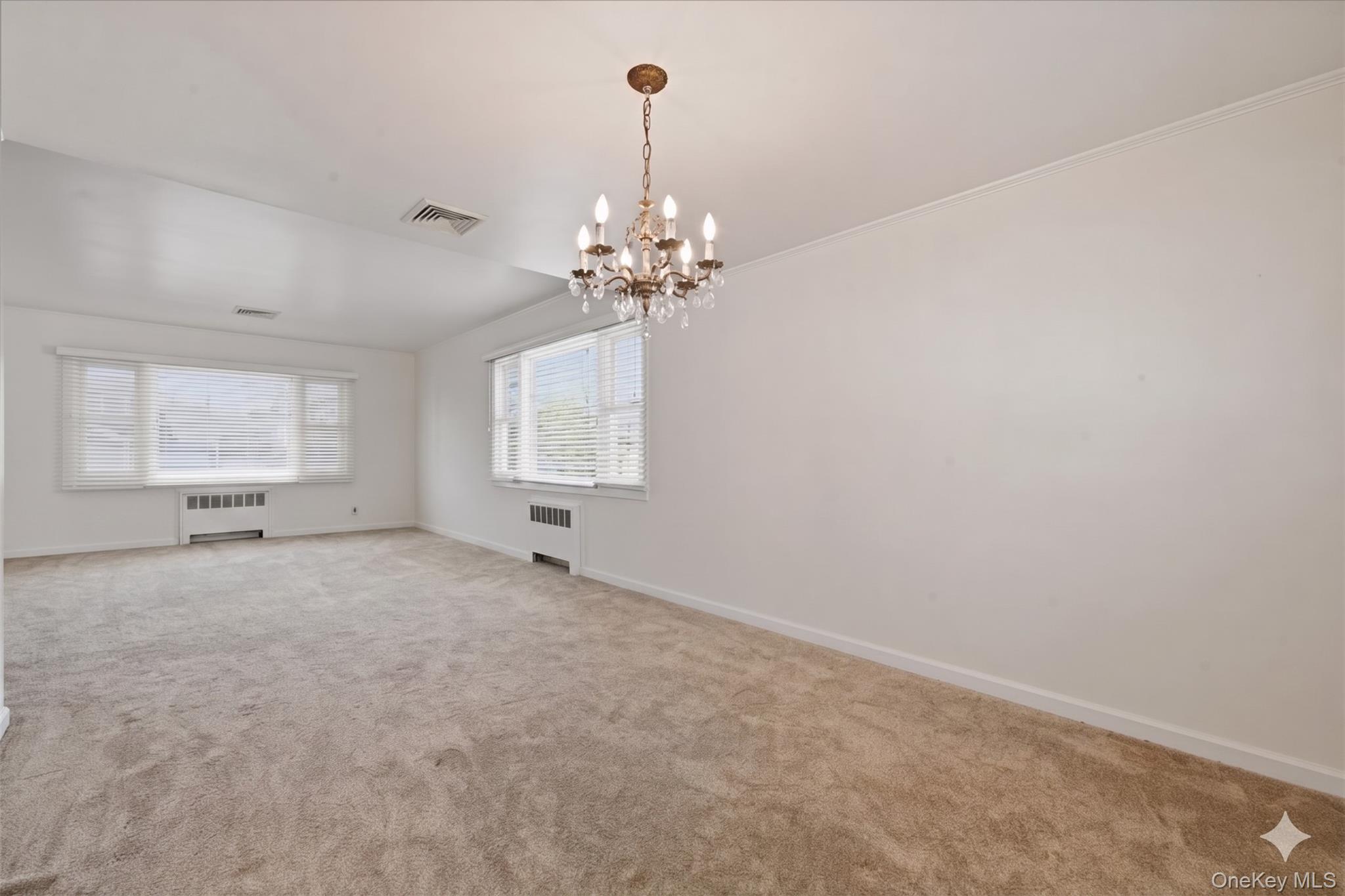 Single Family State  Nassau County, NY 11561, MLS-995668-7