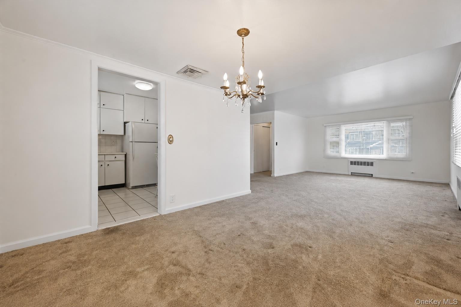 Single Family State  Nassau County, NY 11561, MLS-995668-8
