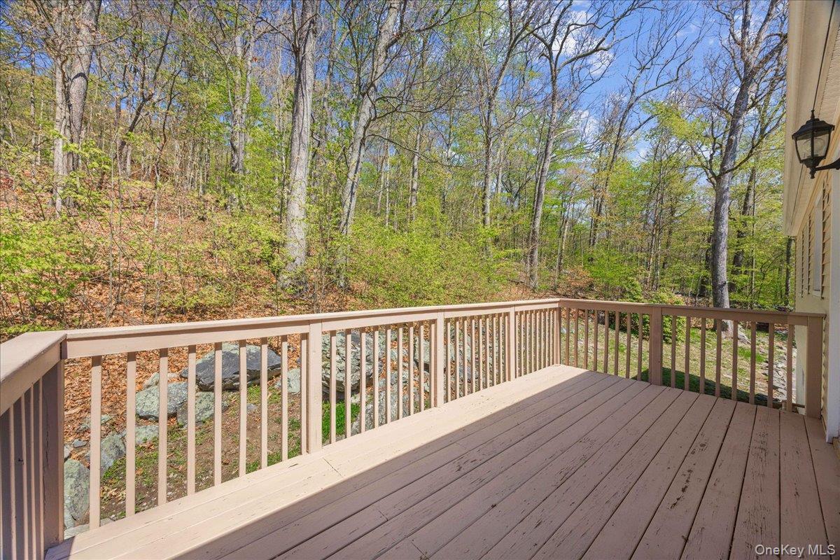 Single Family Lakes Road Orange County, NY 10950, MLS-995734-35