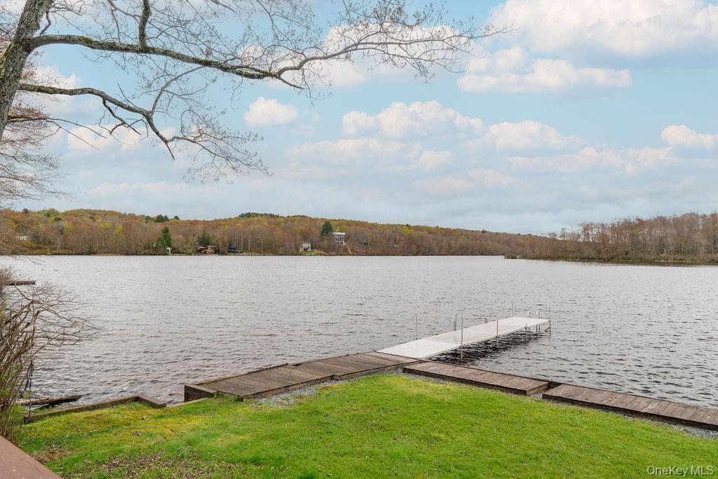 Single Family Redwood Lane Sullivan County, NY 12783, MLS-995797-17