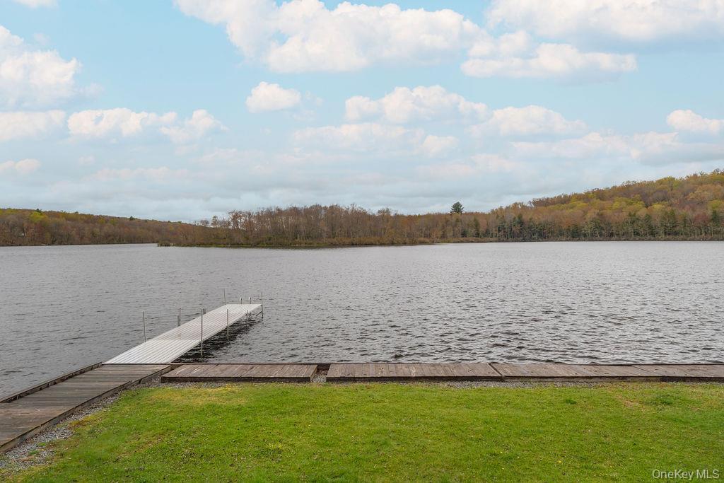 Single Family Redwood Lane Sullivan County, NY 12783, MLS-995797-18