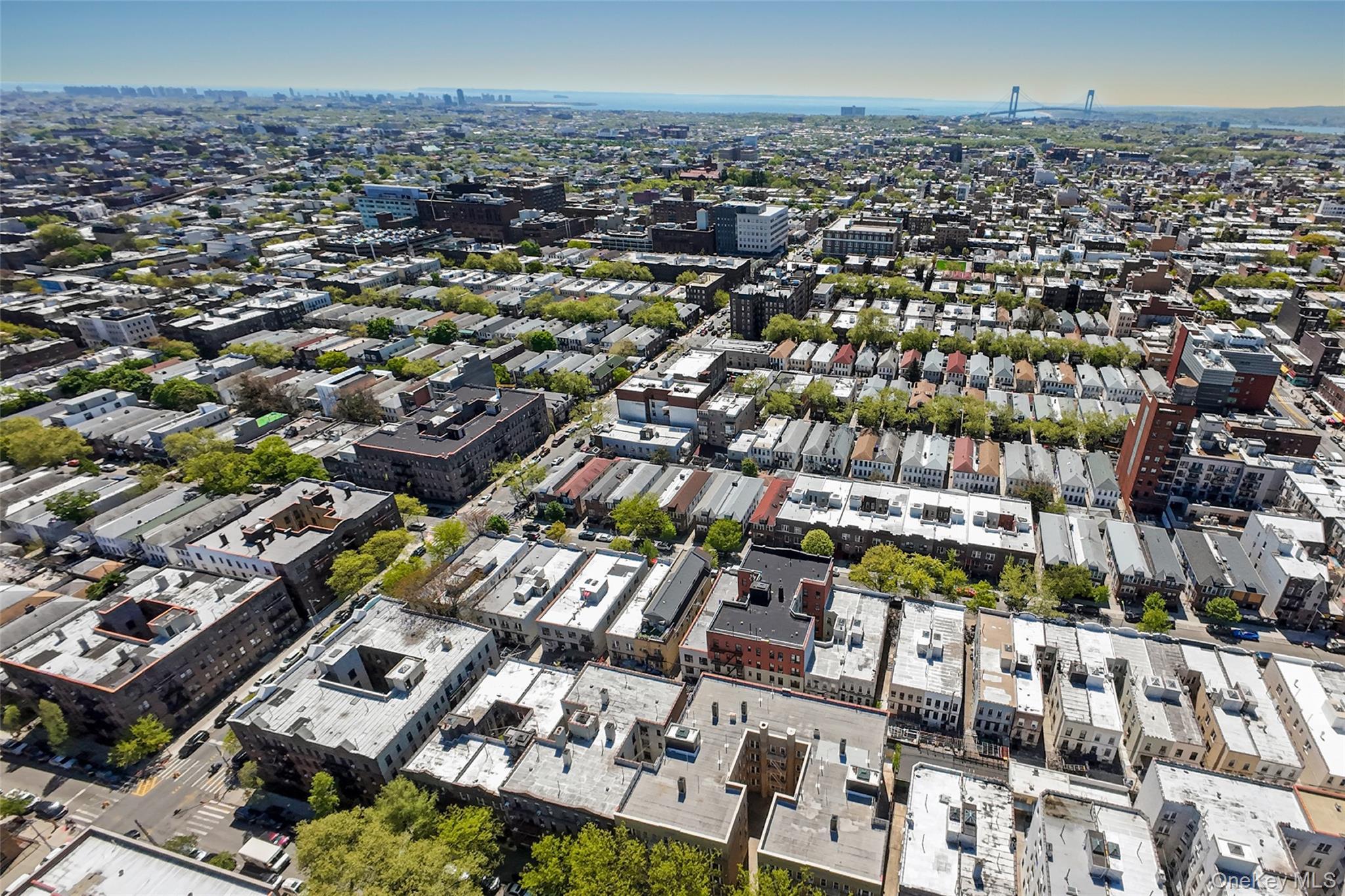 Coop 43rd Street  Brooklyn, NY 11232, MLS-995881-40