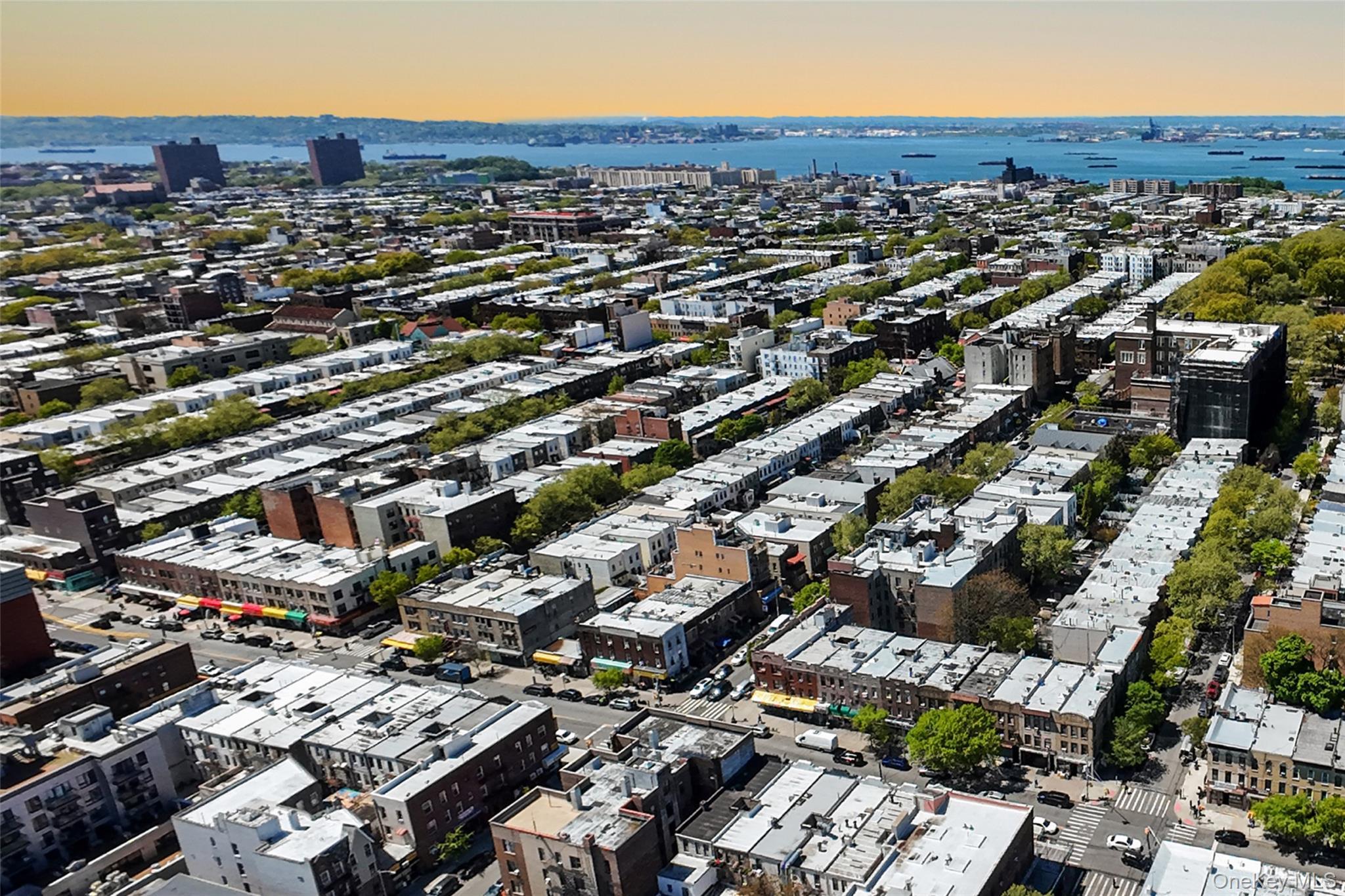 Coop 43rd Street  Brooklyn, NY 11232, MLS-995881-43