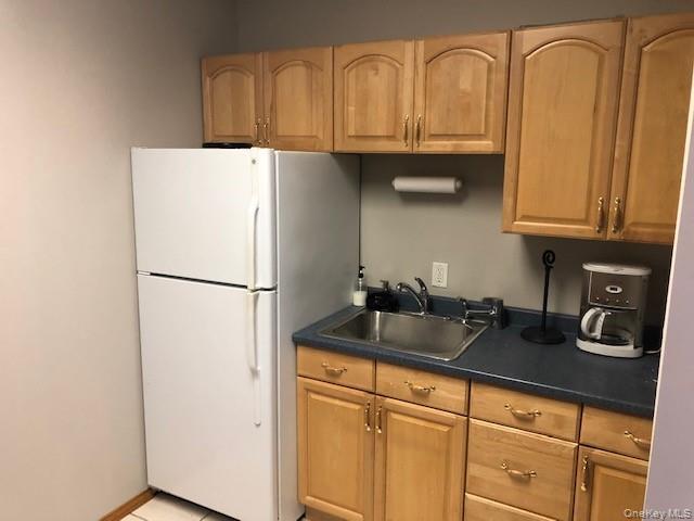 Commercial Sale Washington Street Westchester County, NY 10566, MLS-995934-12