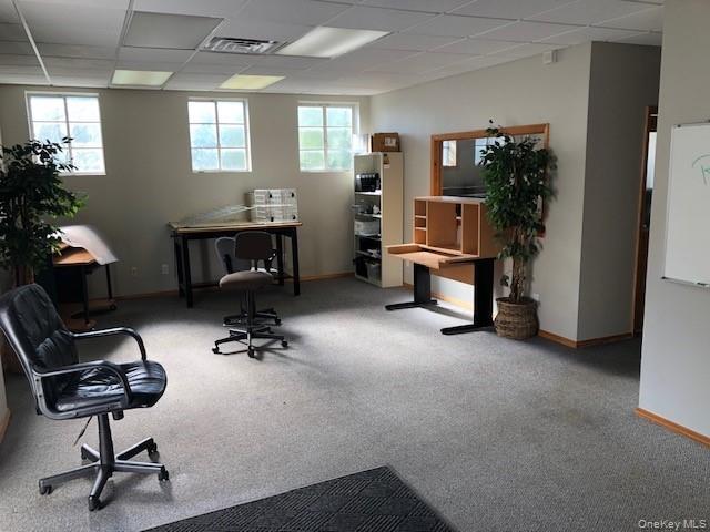 Commercial Sale Washington Street Westchester County, NY 10566, MLS-995934-16