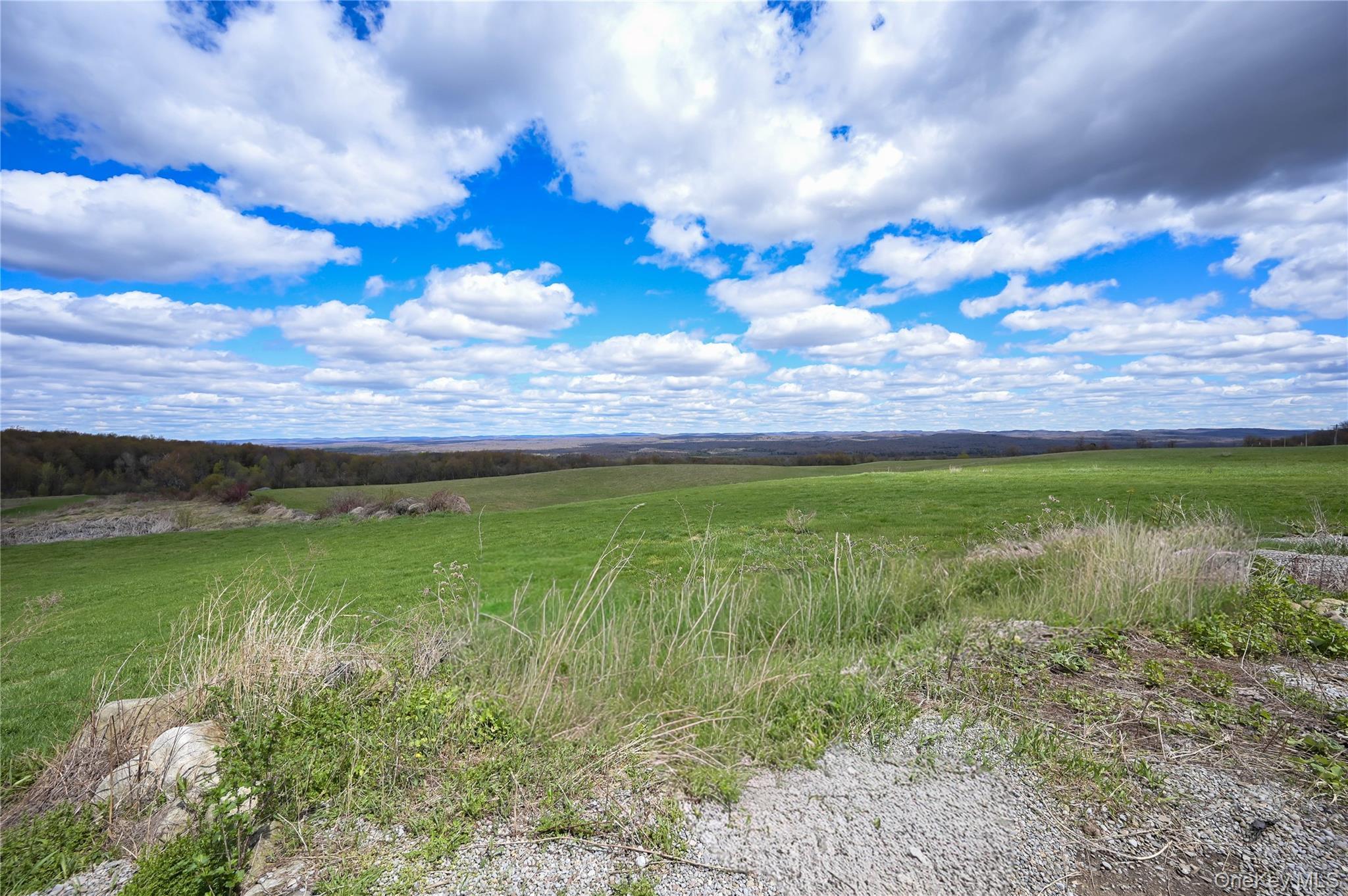 Single Family Diary Hill Out Of Area, NY 13416, MLS-995957-46