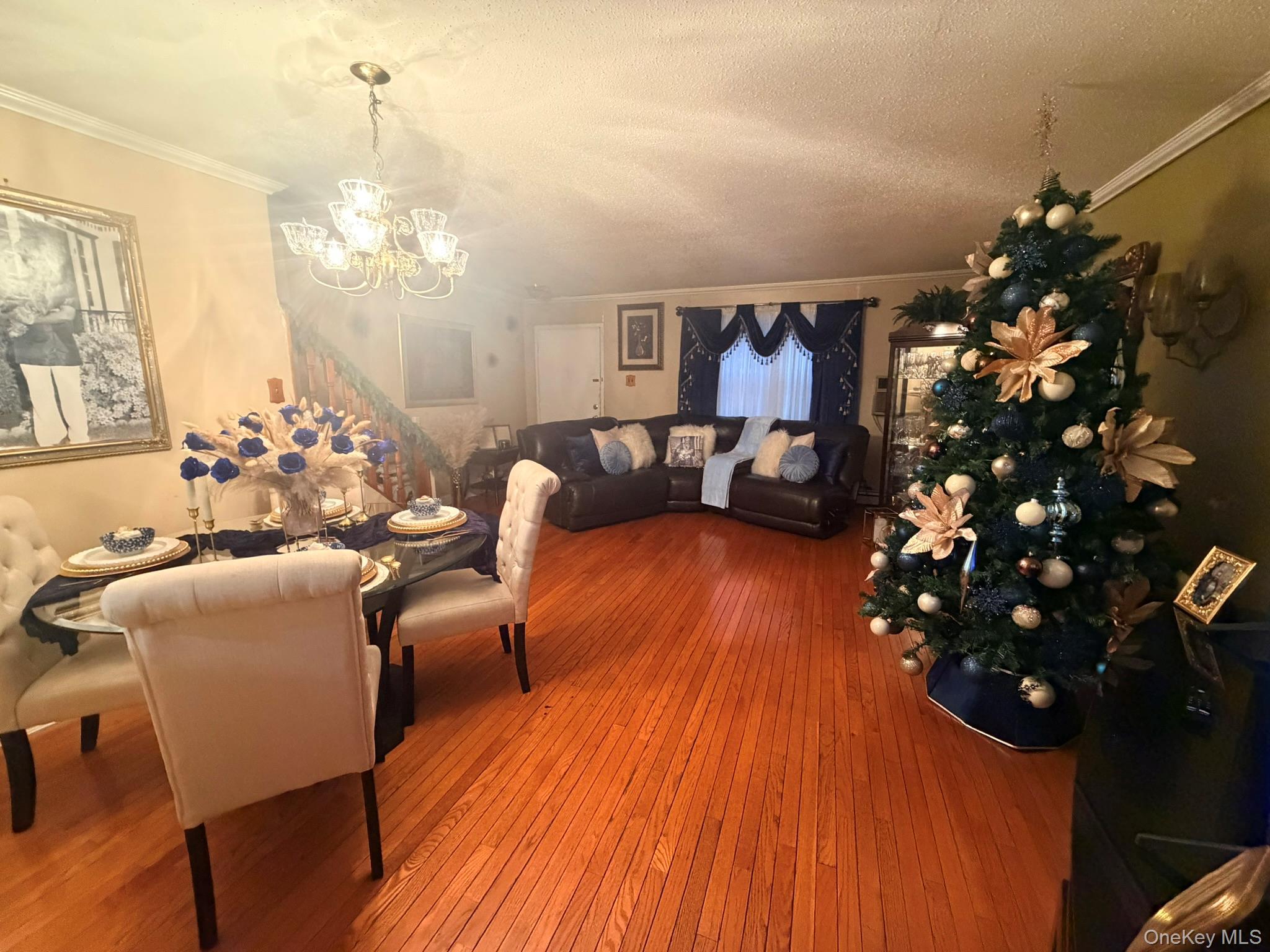 Single Family Blake  Brooklyn, NY 11207, MLS-995965-2