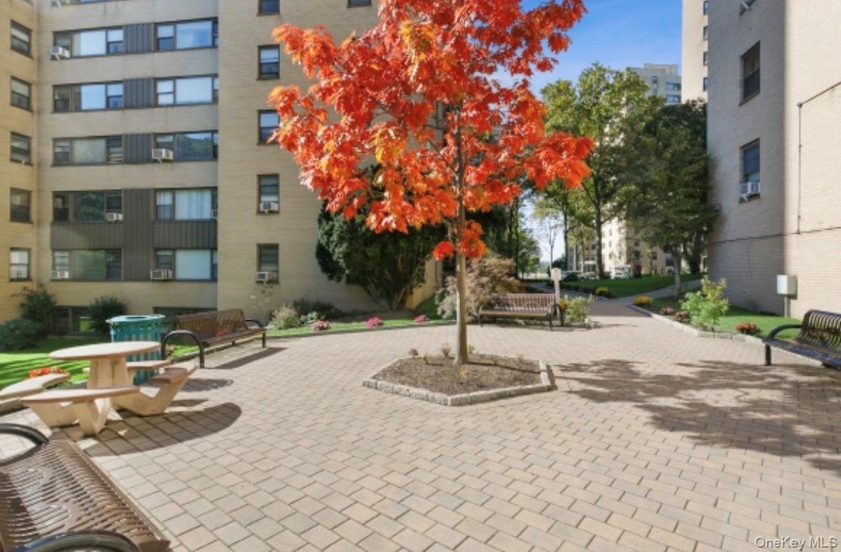 Coop Fordham Hill  Bronx, NY 10468, MLS-996025-2