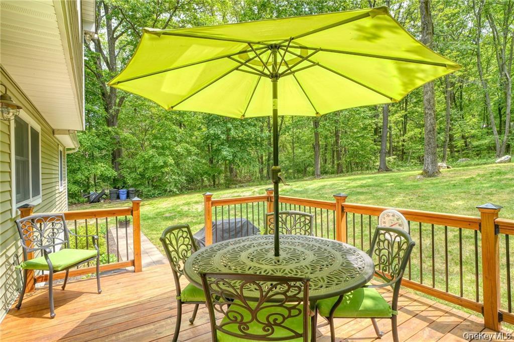 Single Family Roberts Drive Orange County, NY 10950, MLS-996050-26