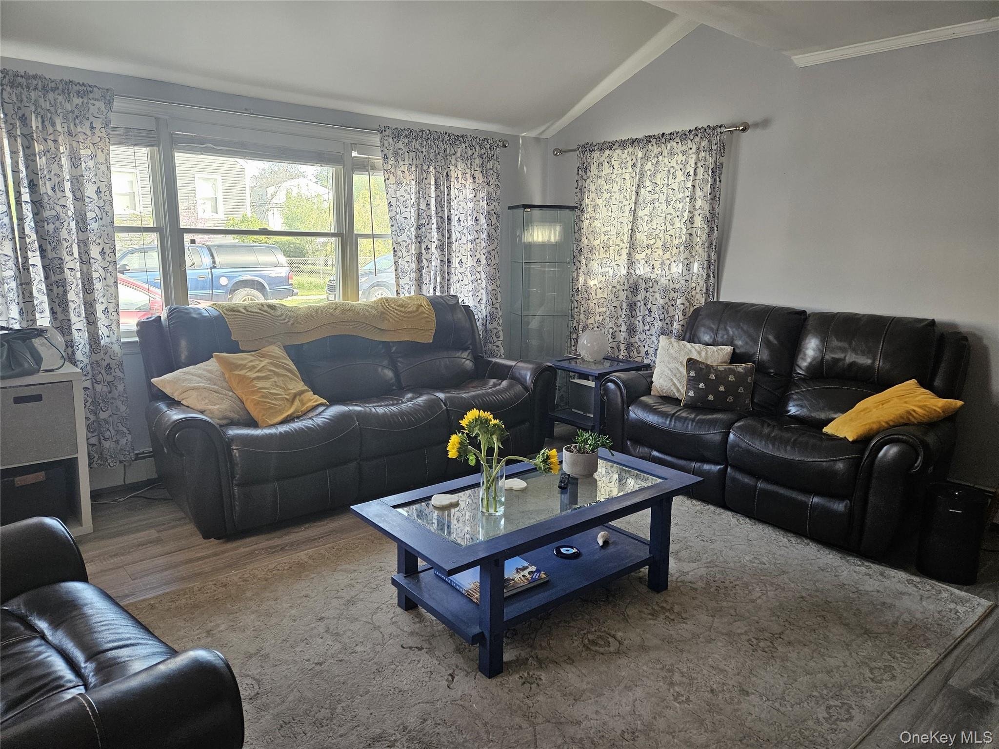 Single Family Lawson Avenue Nassau County, NY 11518, MLS-996057-2