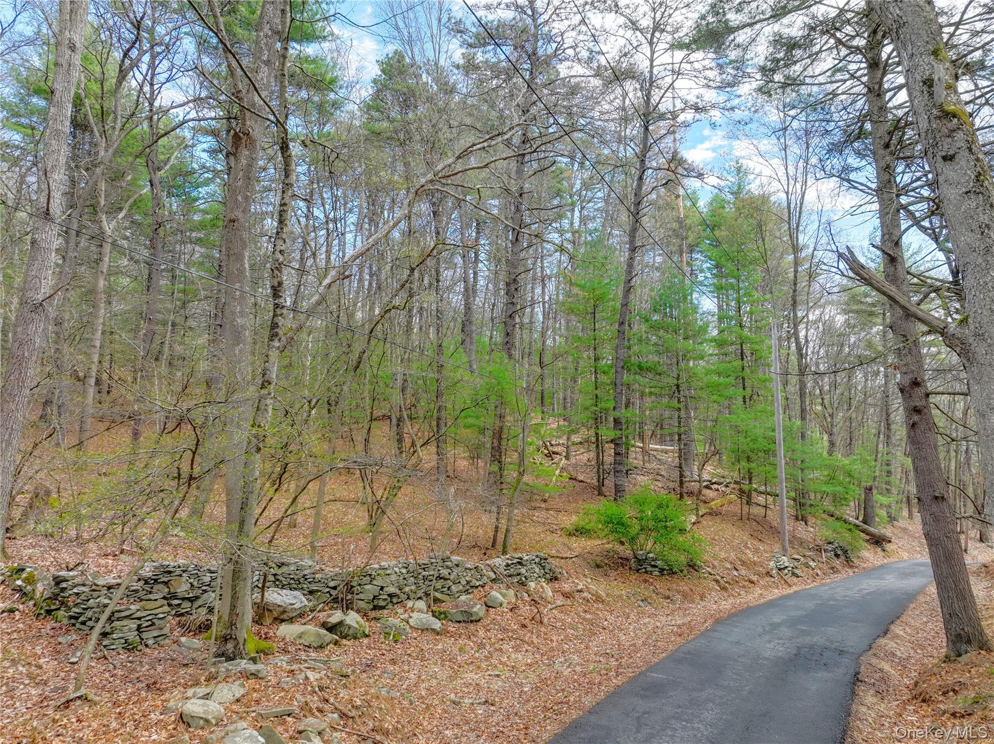 Single Family Homeyer Road  Sullivan County, NY 12737, MLS-996068-25