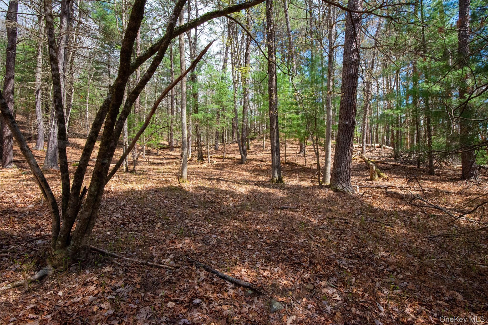 Single Family Homeyer Road  Sullivan County, NY 12737, MLS-996068-26