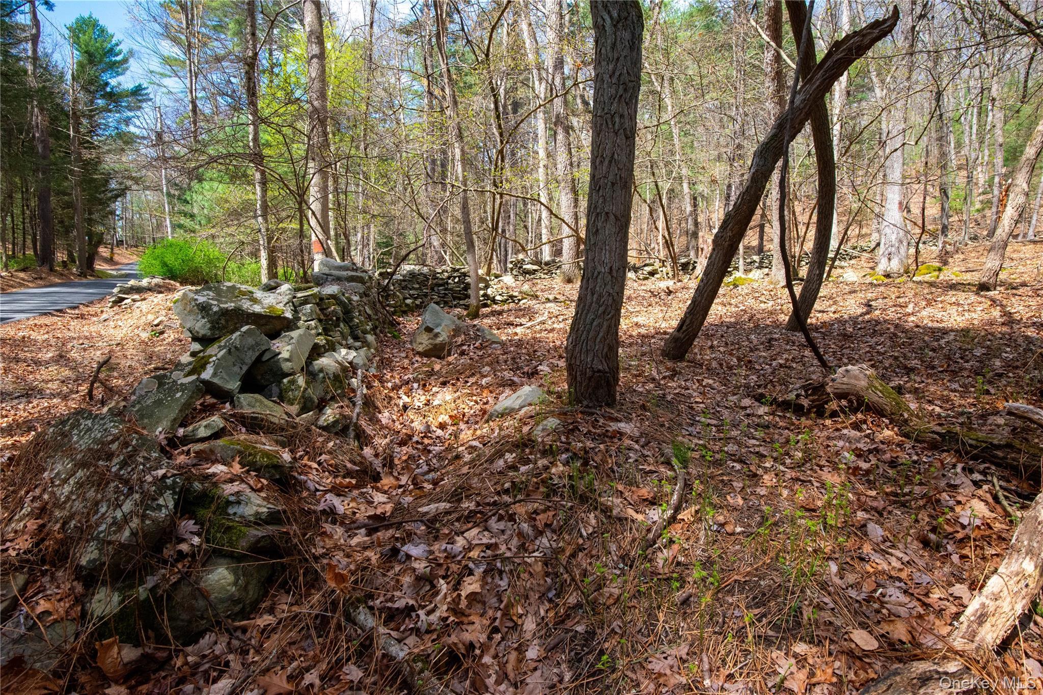 Single Family Homeyer Road  Sullivan County, NY 12737, MLS-996068-27
