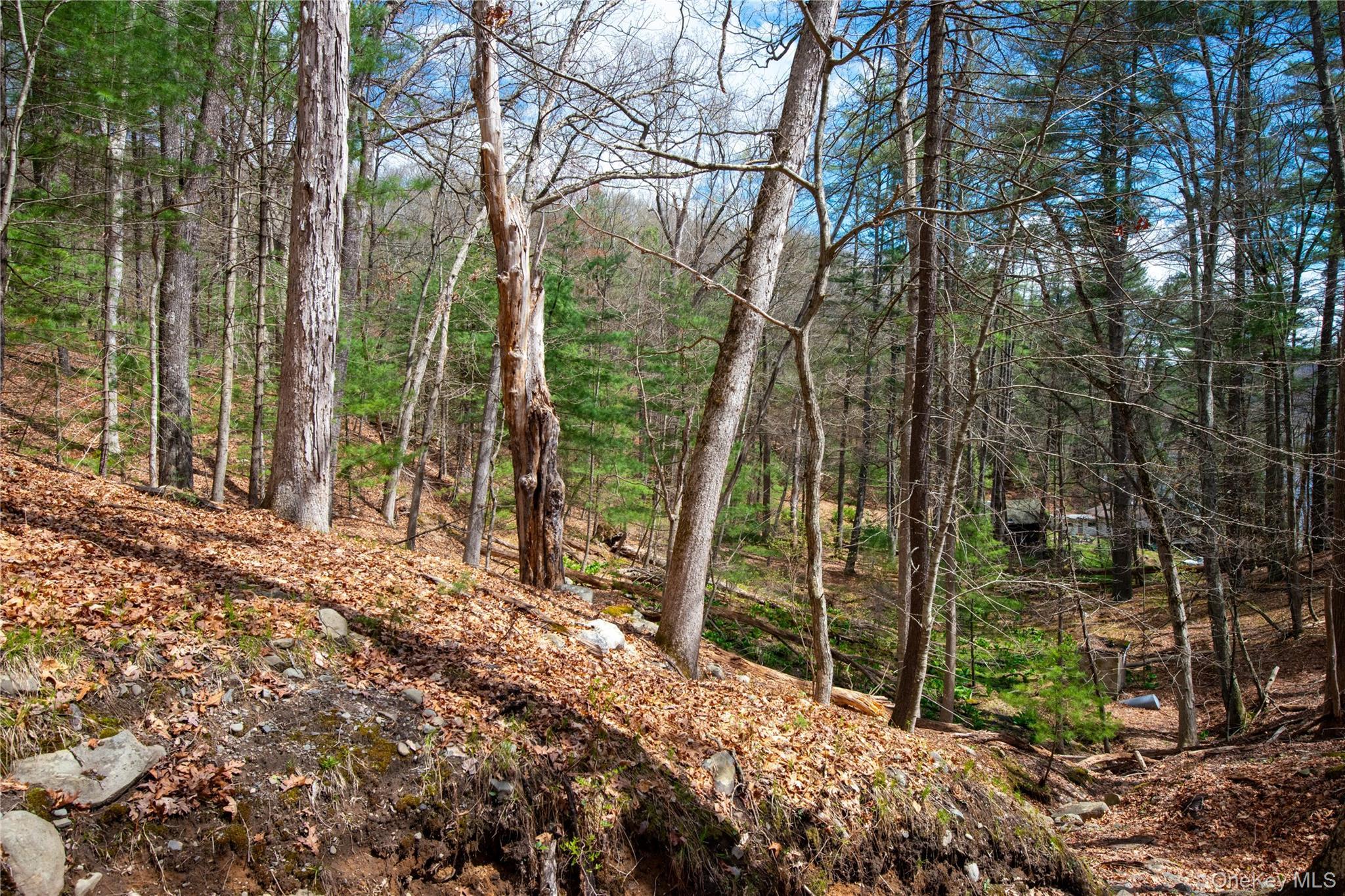 Single Family Homeyer Road  Sullivan County, NY 12737, MLS-996068-28