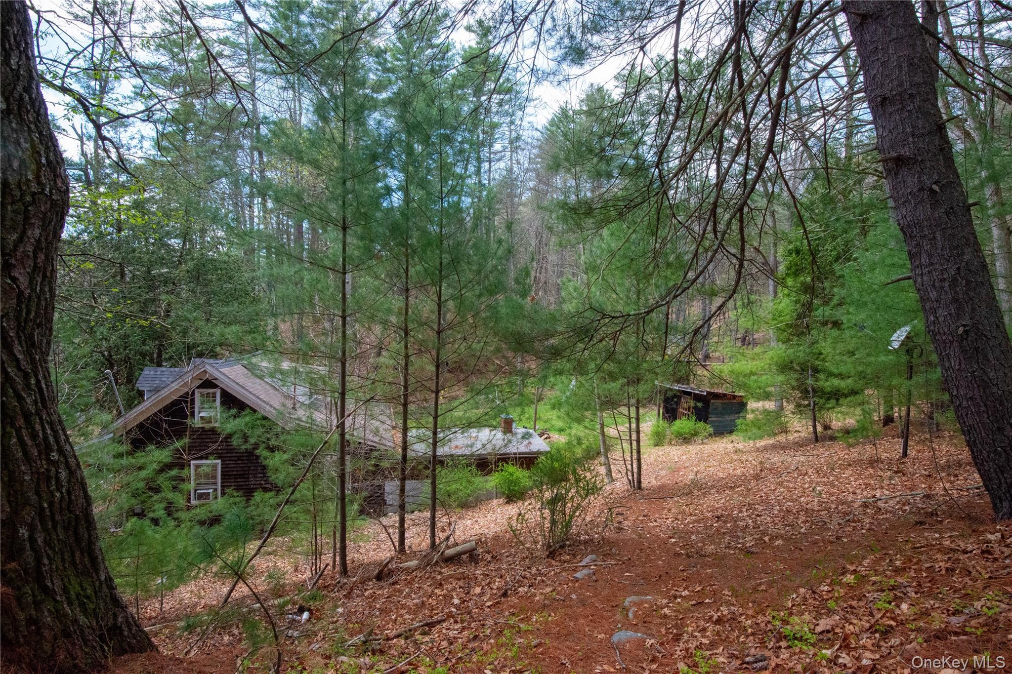 Single Family Homeyer Road  Sullivan County, NY 12737, MLS-996068-29