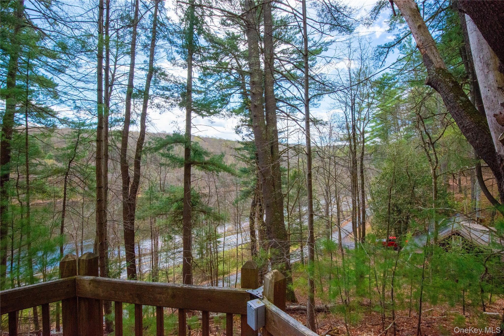 Single Family Homeyer Road  Sullivan County, NY 12737, MLS-996068-31
