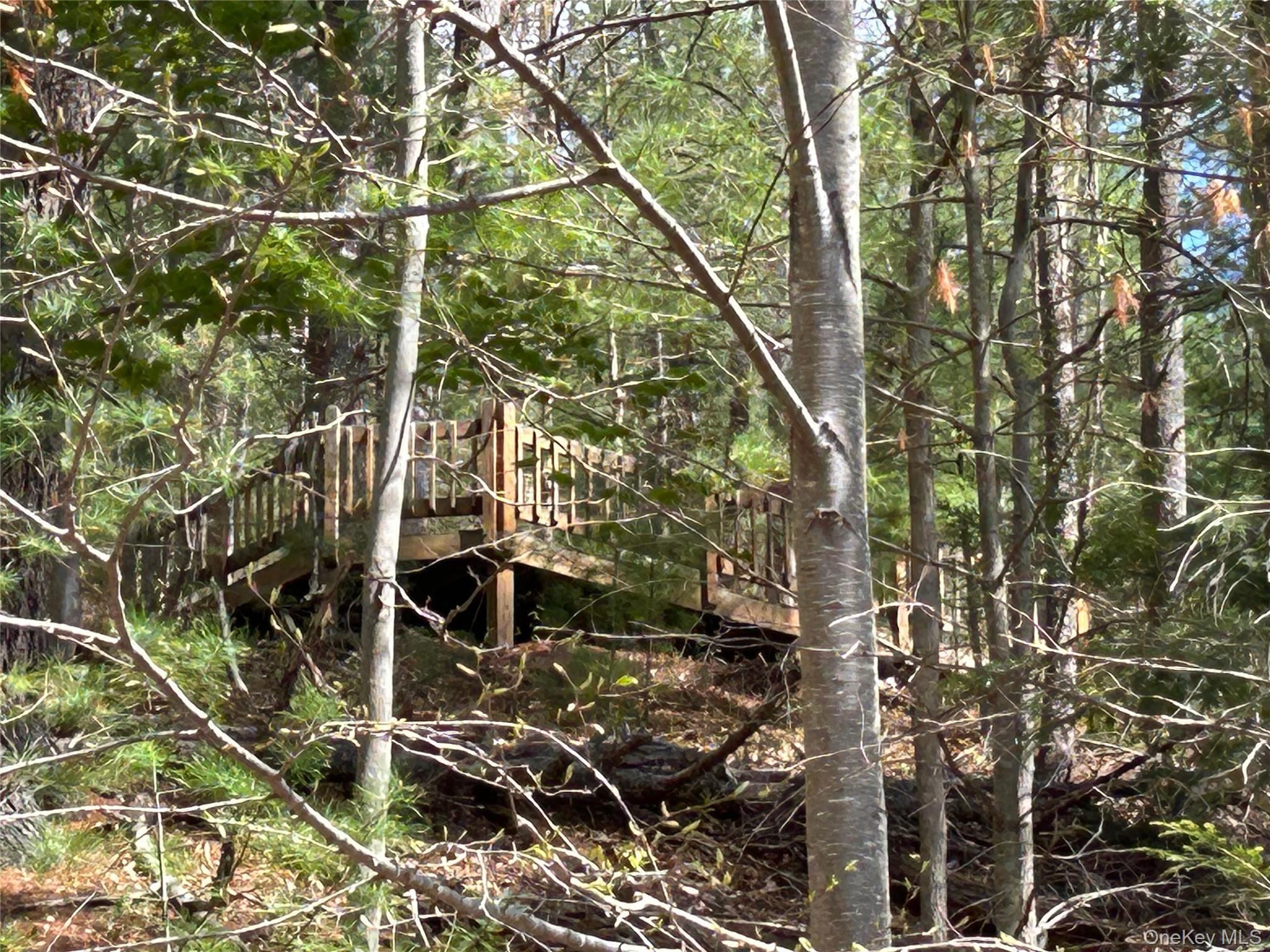 Single Family Homeyer Road  Sullivan County, NY 12737, MLS-996068-32
