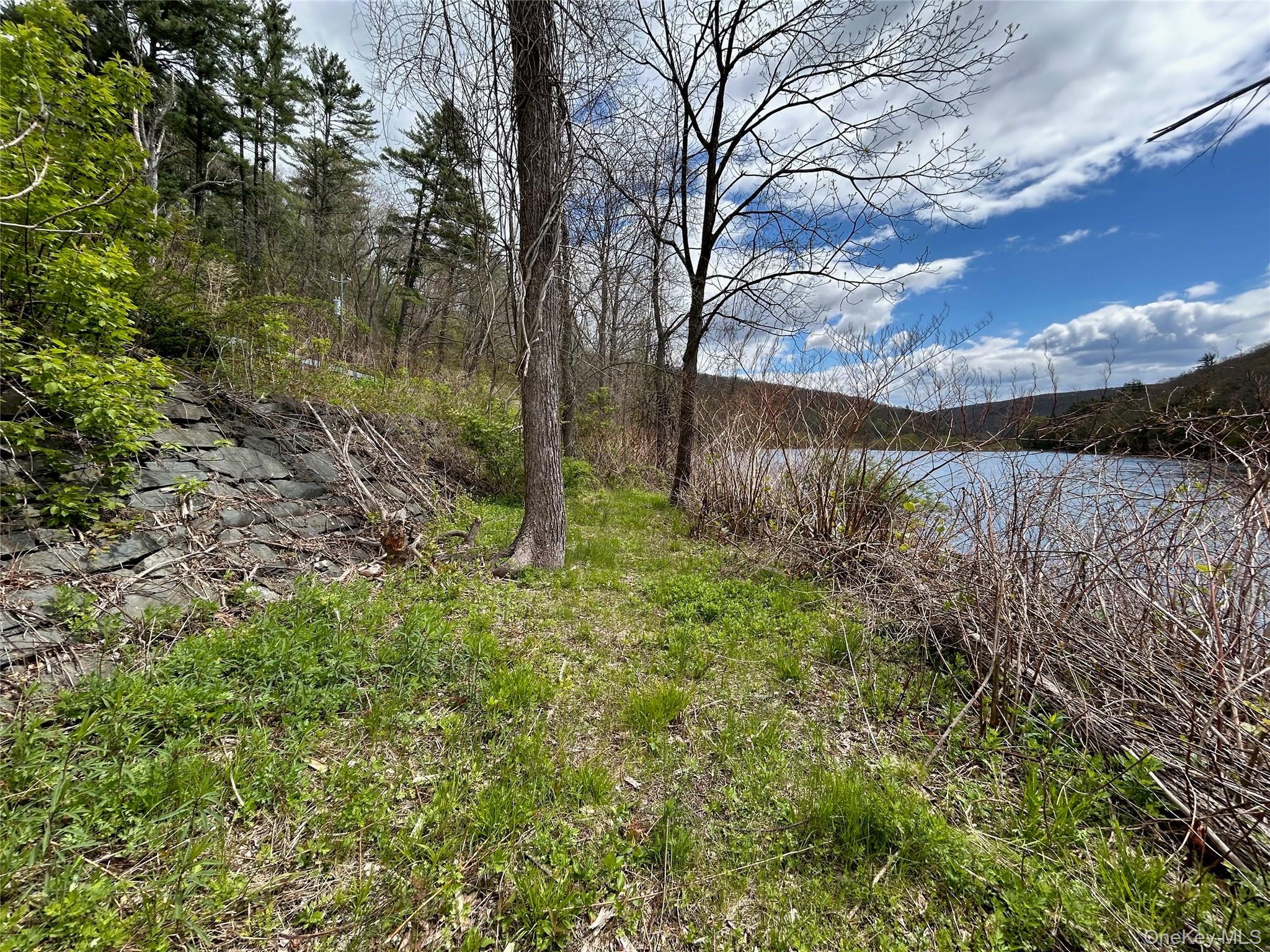Single Family Homeyer Road  Sullivan County, NY 12737, MLS-996068-39