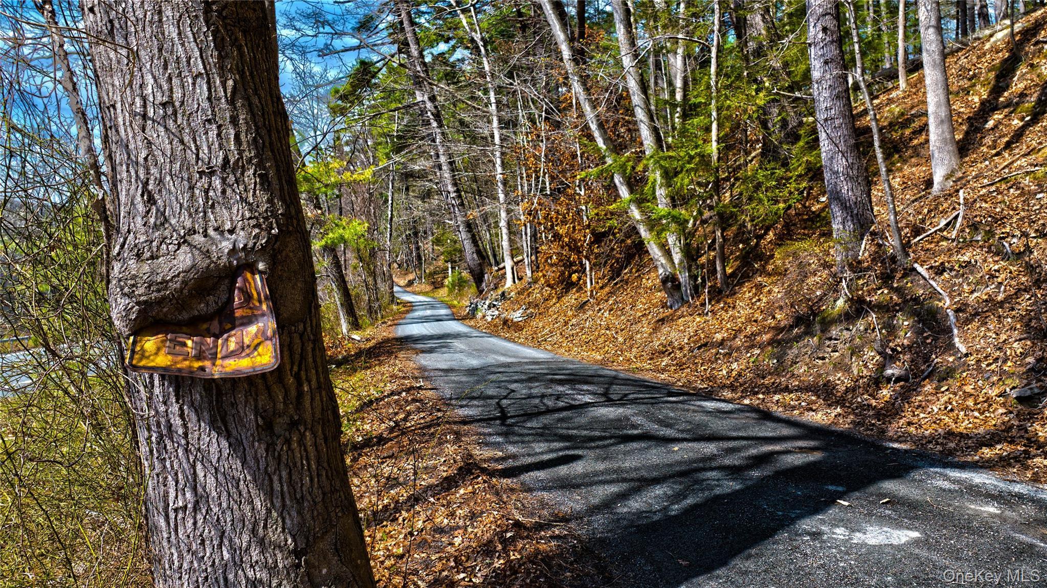 Single Family Homeyer Road  Sullivan County, NY 12737, MLS-996068-43