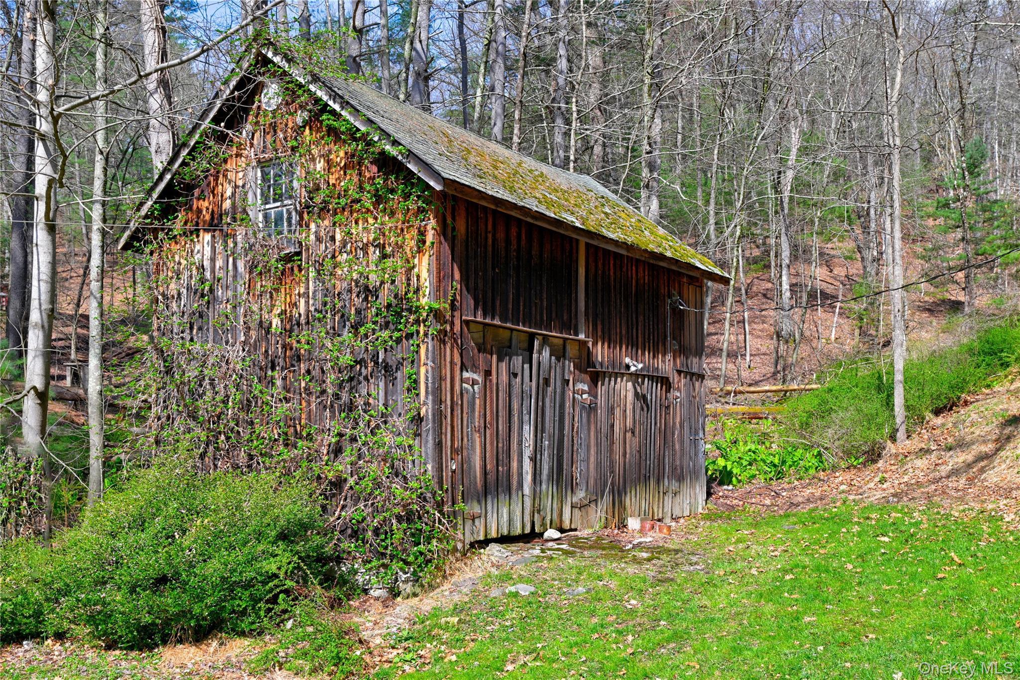 Single Family Homeyer Road  Sullivan County, NY 12737, MLS-996068-7