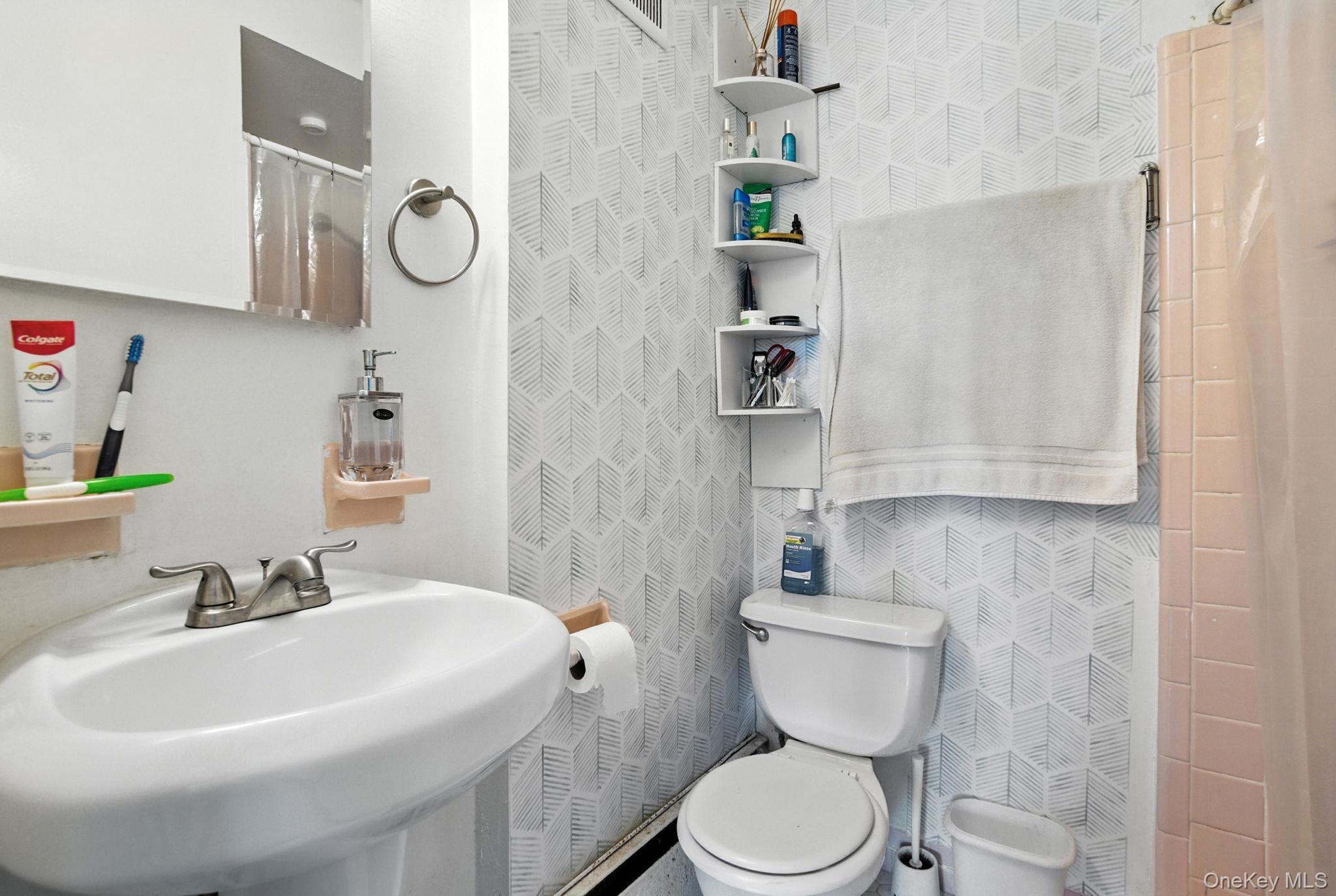 Single Family Booth Street Queens, NY 11374, MLS-996152-26