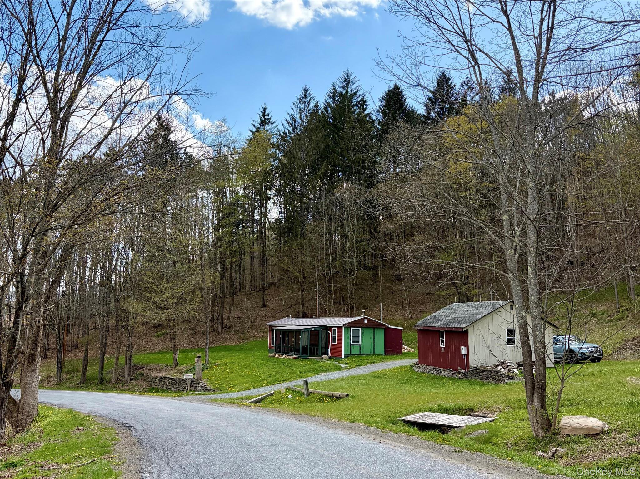 Single Family Marvin Hollow  Delaware County, NY 13856, MLS-996160-20