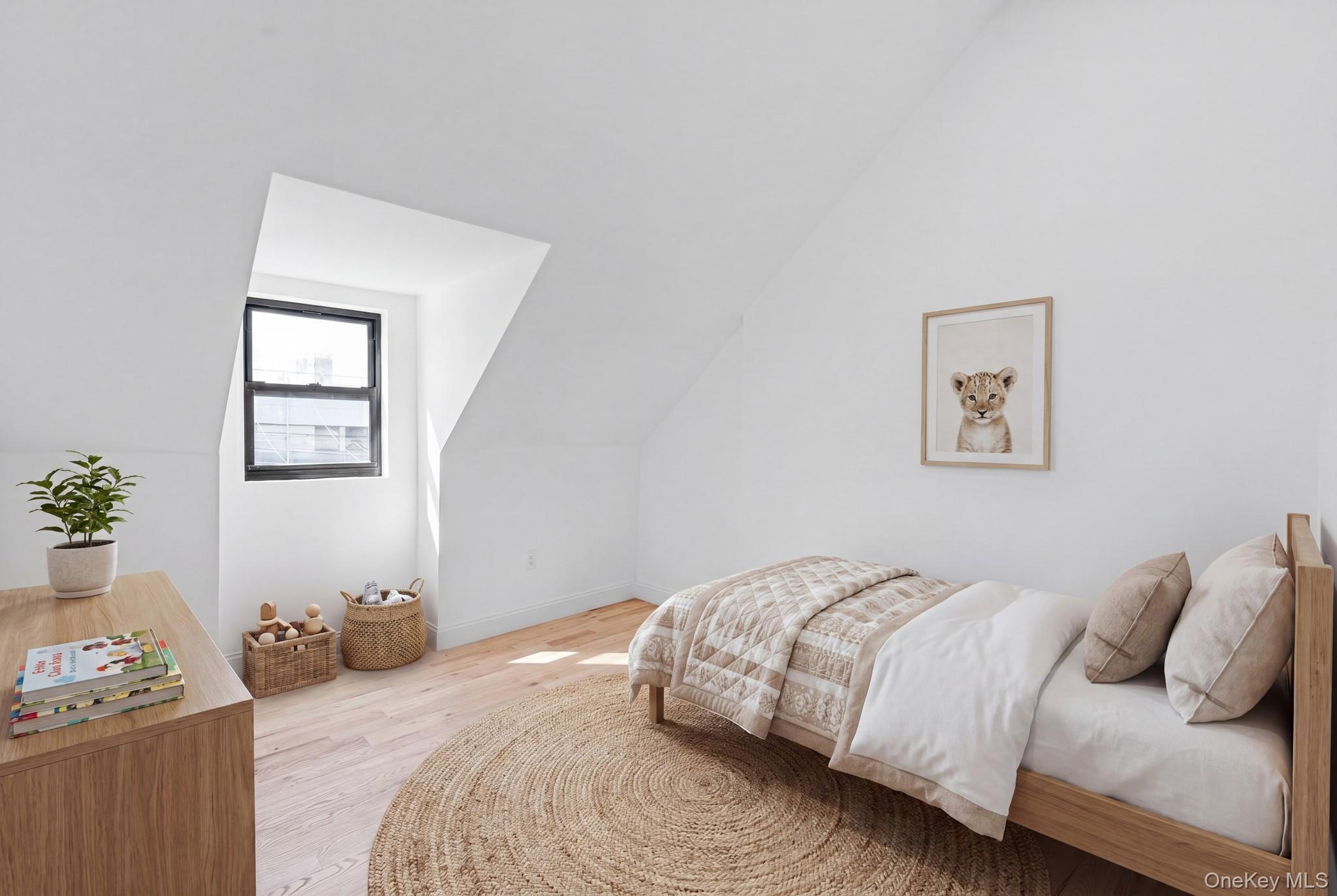 Single Family 157th Street Queens, NY 11434, MLS-996215-8