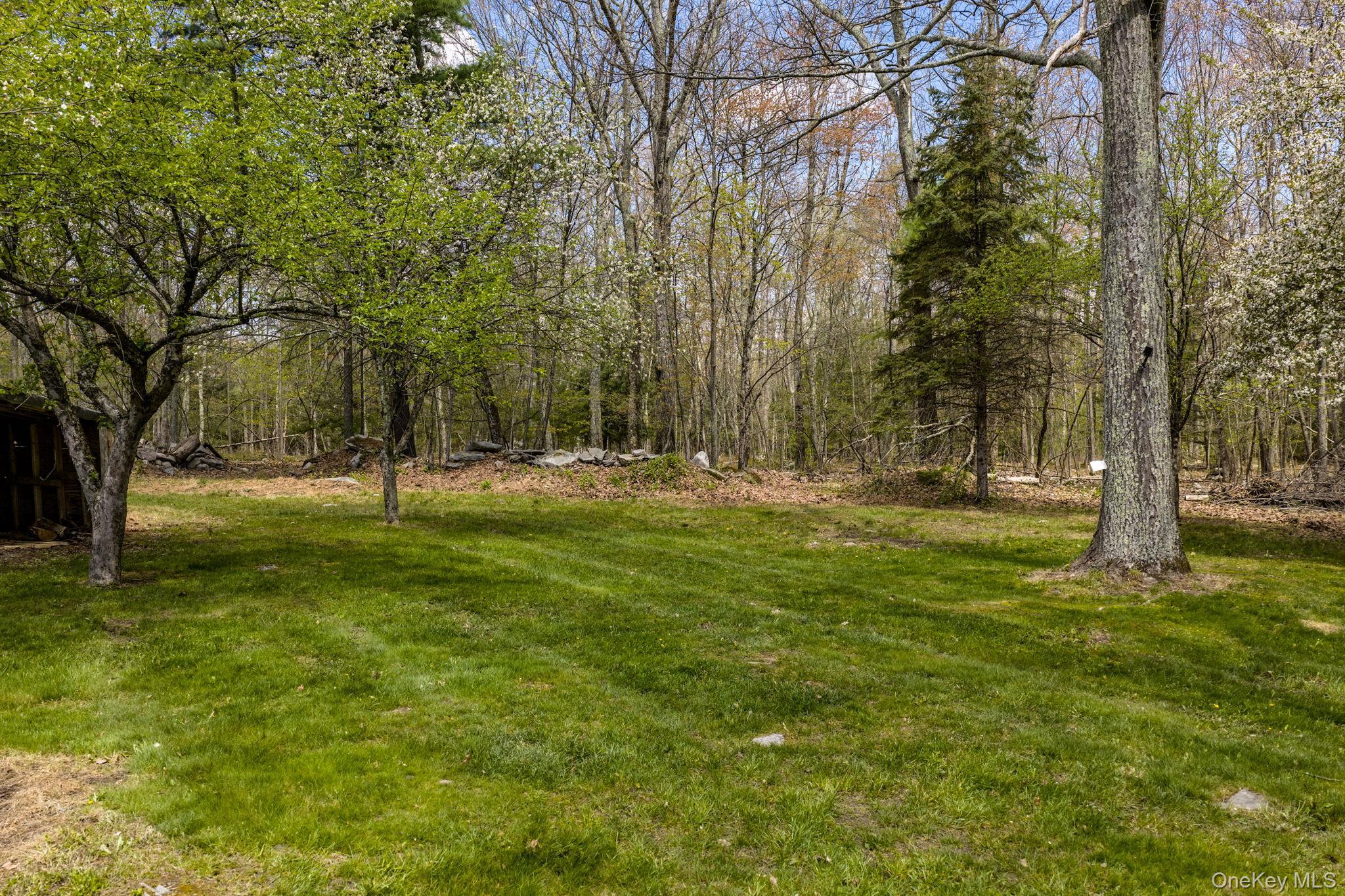 Single Family Peenpack Orange County, NY 12780, MLS-996339-36